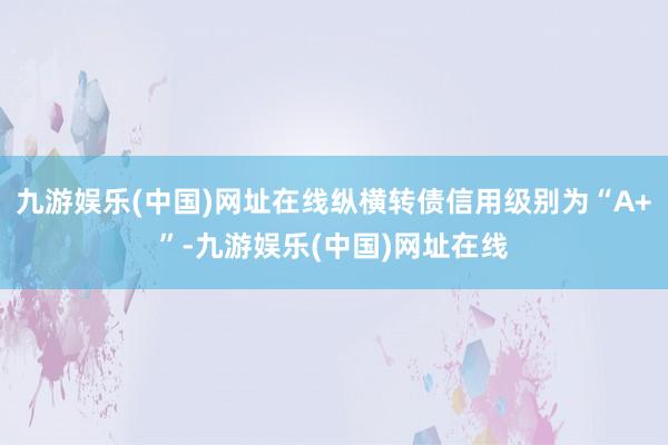 九游娱乐(中国)网址在线纵横转债信用级别为“A+”-九游娱乐(中国)网址在线