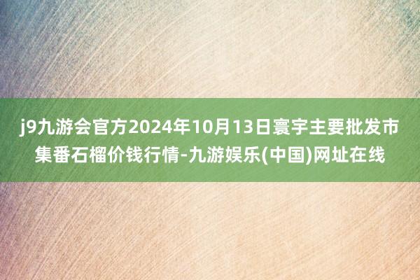 j9九游会官方2024年10月13日寰宇主要批发市集番石榴价钱行情-九游娱乐(中国)网址在线