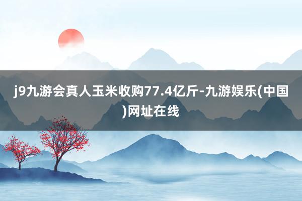 j9九游会真人玉米收购77.4亿斤-九游娱乐(中国)网址在线